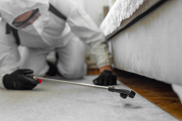Professional Termite Control technician working in Whiting, IN